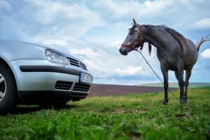 kW-hp laskuri / moottorin teho | Eurolaskurit